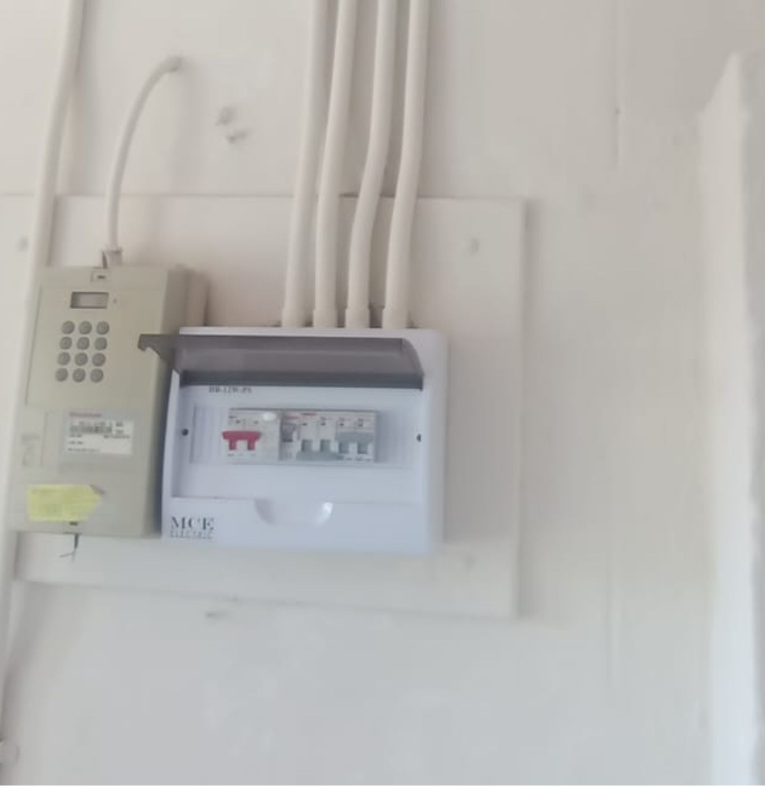 Team at work on local project